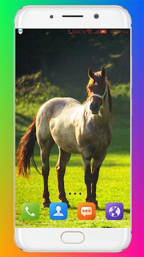 Horse Wallpaper HD screenshot 6
