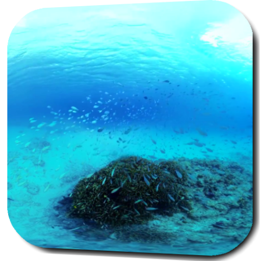 Underwater Video Wallpaper icon