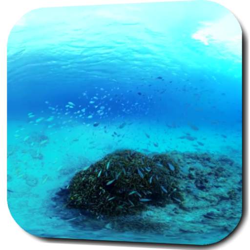 Underwater Video Wallpaper 3.0