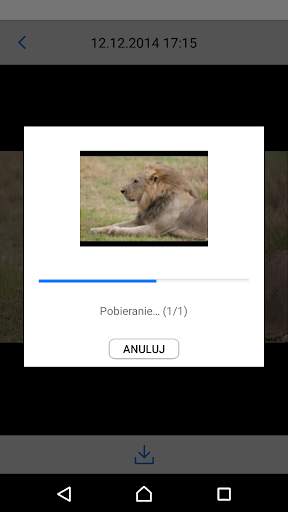 Canon Connect Station screenshot 4