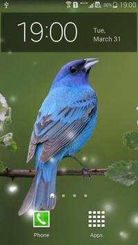 Spring Birds screenshot 2
