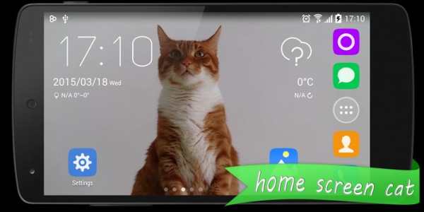 Live HD Cat Wallpaper screenshot 4