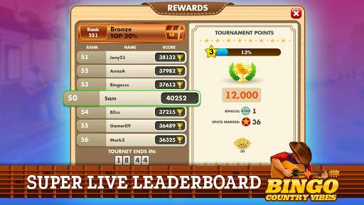 Bingo Country Vibes-Live Games screenshot 4