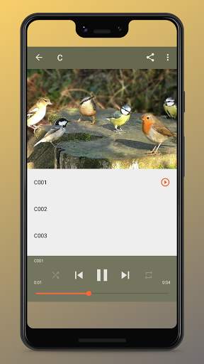Bird Songs Ringtones screenshot 6