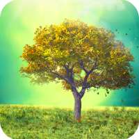 la natura Live Wallpaper on 9Apps