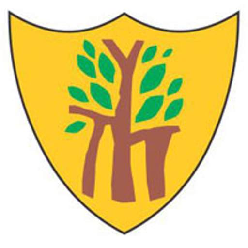 Dikshant International School 10.01