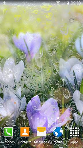 Rainy Flowers Live Wallpaper screenshot 2