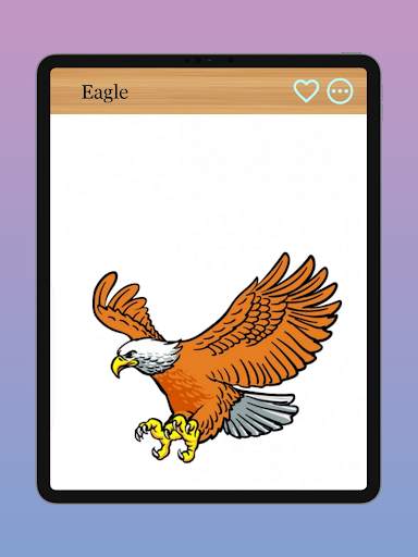 How to Draw Birds of Prey screenshot 11