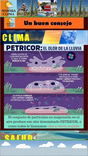 SONORA Clima 1.0 screenshot 5