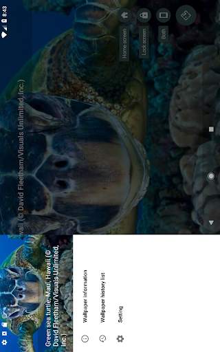 Starth Bing Wallpaper screenshot 6