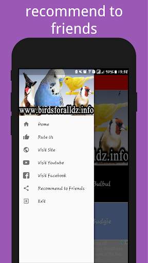 Birds Sounds ( Offline ) स्क्रीनशॉट 2