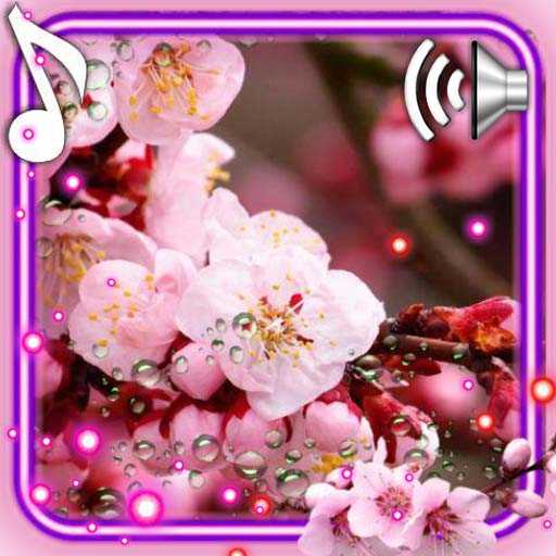 Sakura Red Live Wallpaper 1.7