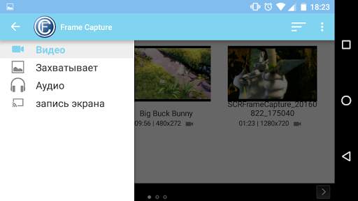 Frame Capture скриншот 4