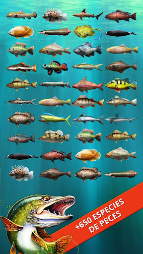 Let's Fish: Simulador de Pesca screenshot 3