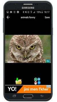 animals funny gif screenshot 2