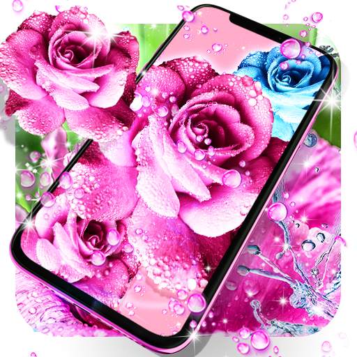 Rose pink water drop wallpaper 25.3