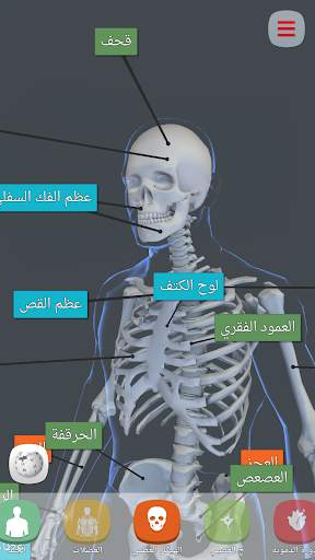 Human Anatomy AR screenshot 5