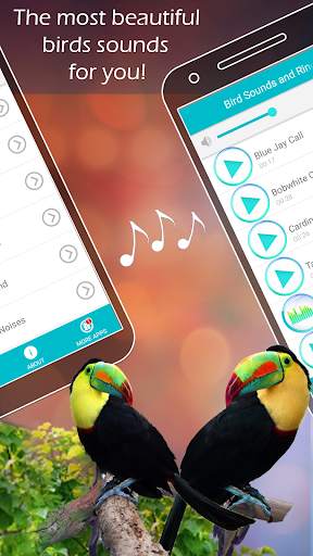 Bird Sounds and Ringtones screenshot 3