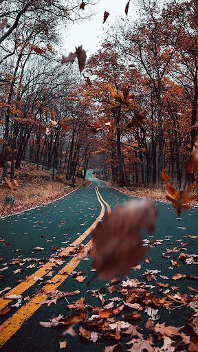 Autumn Wallpaper screenshot 2