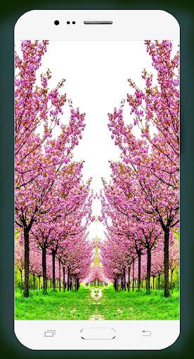 Sakura Wallpaper HD screenshot 15