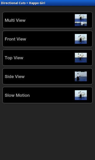 Aikido Weapons Free screenshot 3