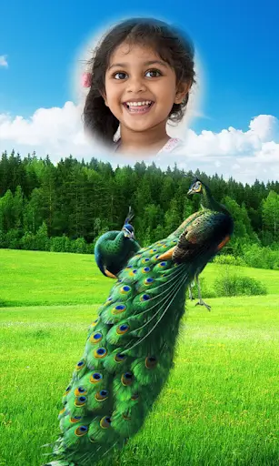 Peacock Photo Frames HD screenshot 1