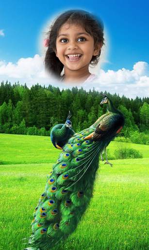 Peacock Photo Frames HD screenshot 1