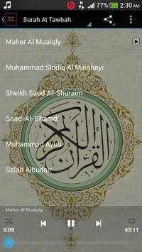 Surah At Tawbah screenshot 3