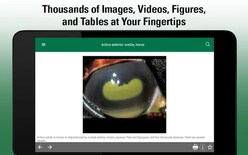 MSD Vet Manual screenshot 9