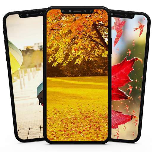 Autumn Wallpaper 1.0
