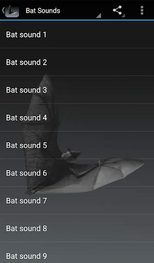 Bat Sounds screenshot 1
