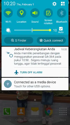 Indonesia Flight Status screenshot 6