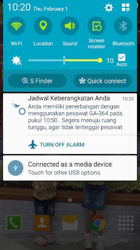 Indonesia Flight Status скриншот 6