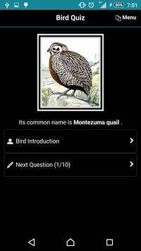 Bird Quiz screenshot 2