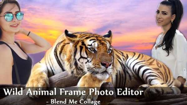 Wild Animal Frame Photo Editor - Blend Me Collage screenshot 4