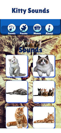 Kitty Cat Games For Kids Meow screenshot 2