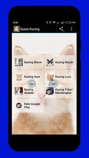 SUARA KUCING TERBAIK screenshot 3