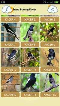 Bird chirp Copsychus saularis screenshot 4