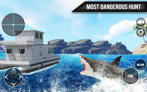 Wild Shark Fish Hunting game screenshot 2