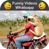 Funny Videos for Whatsapp 1.0
