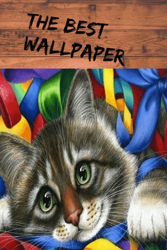 Pictures of Funny Cats, Wallpaper screenshot 5