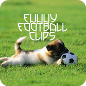 Funny Soccer Videos icon