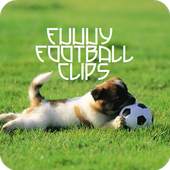 Funny Soccer Videos 1.0