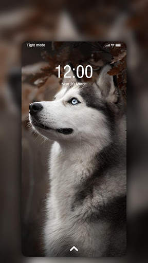 Husky Wallpaper screenshot 6