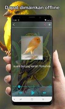 Masteran Kenari Lengkap screenshot 5