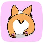 Cute Corgi Wallpapers 1.0.5
