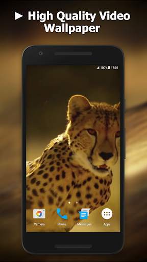 Cheetah Video Live Wallpaper screenshot 1