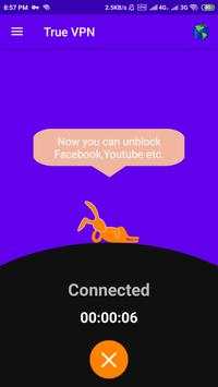 True VPN screenshot 3