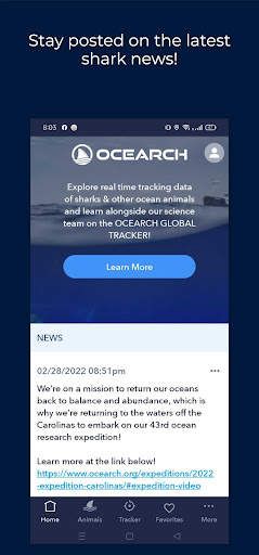 OCEARCH Shark Tracker screenshot 6