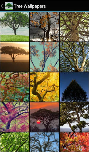 Tree Wallpapers screenshot 1